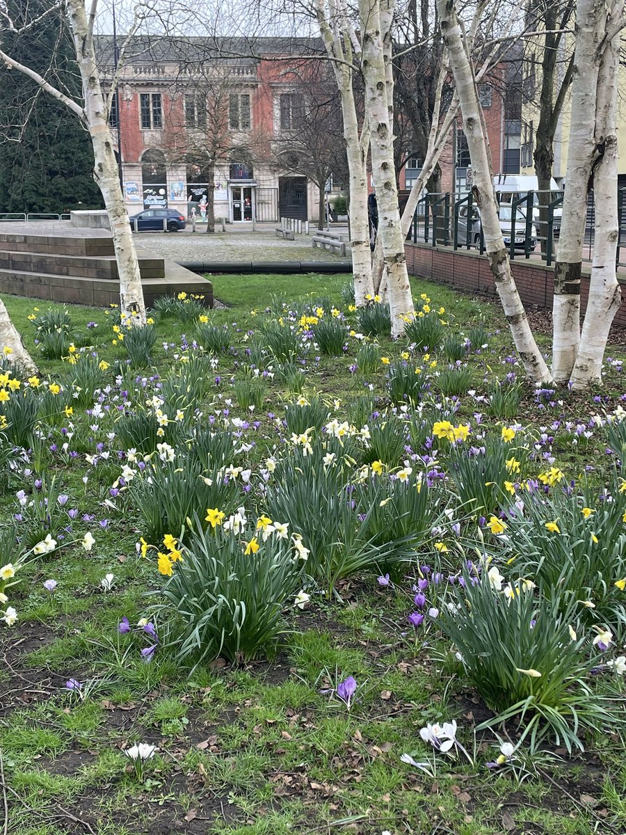 AFD/Derbs🇺🇦 tweet media