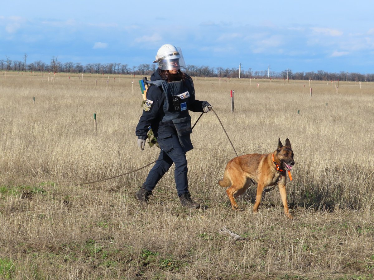 EU Service for Foreign Policy Instruments 🌐 tweet media