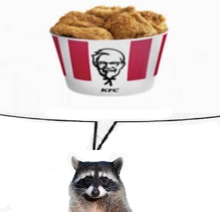 Why you should have a Raccoon (@shouldhaveracc) on Twitter photo 