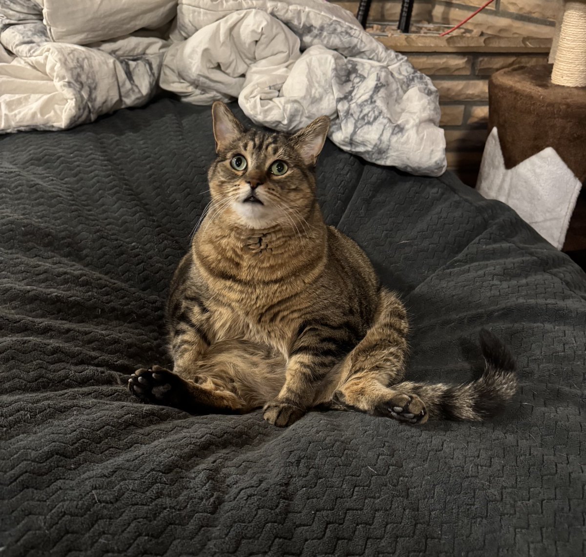 No thoughts behind those eyes.