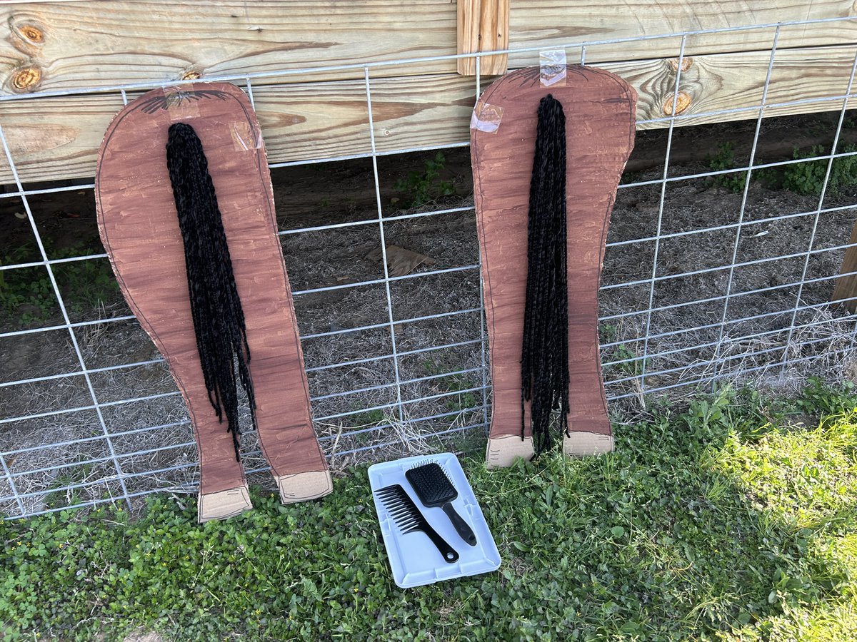 Allison Duffy tweet media