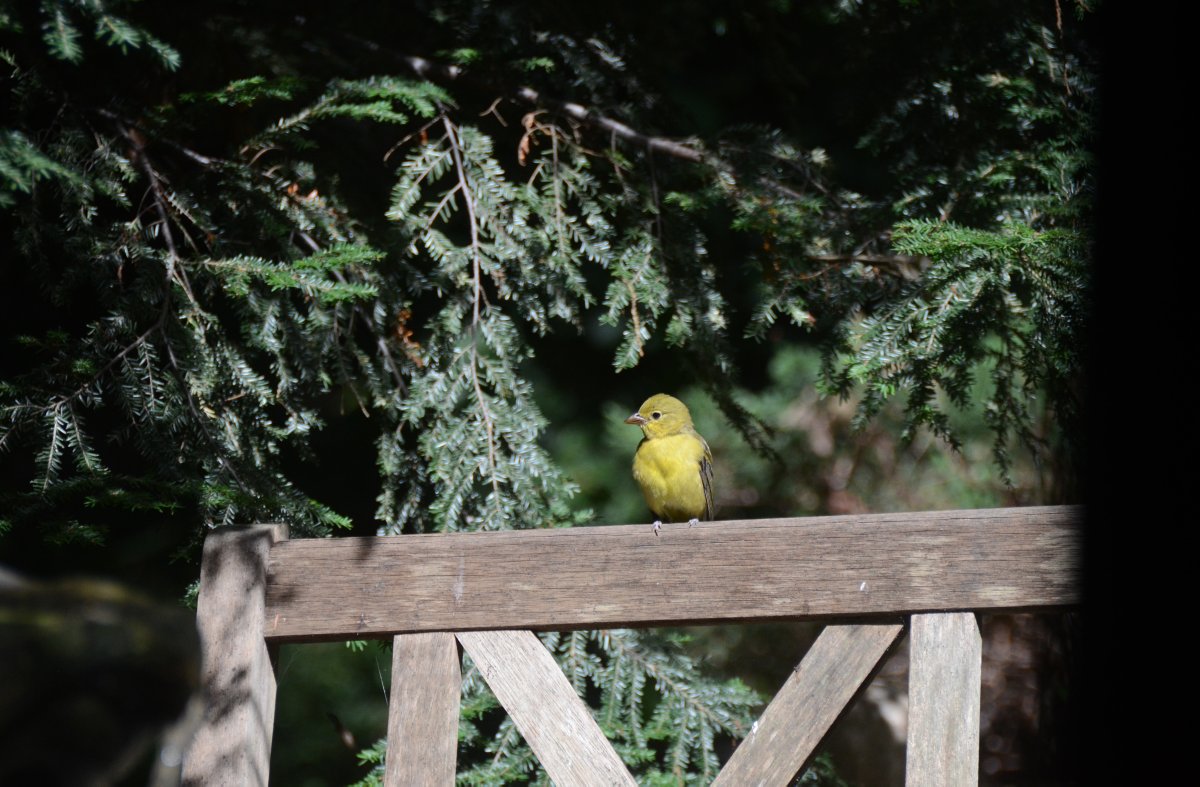 Doug Oster tweet media