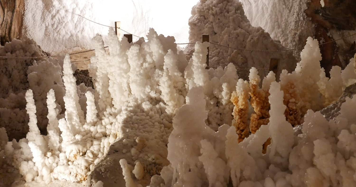 Debbie Ponchner tweet media