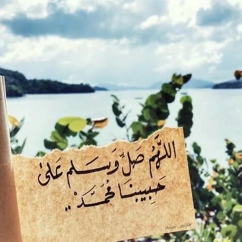 VIP_G999G's tweet photo. .

في #ليلة_الجمعة 

صلوا_على_خير_البشر
نبينا﴿ םבםב ﴾ 
          " ﷺ "

"حُبّاً ، وإيماناً ، وأجراً
صلوا_عليه_كثيرا 🌿🤍" https://t.co/O465m0NyA1