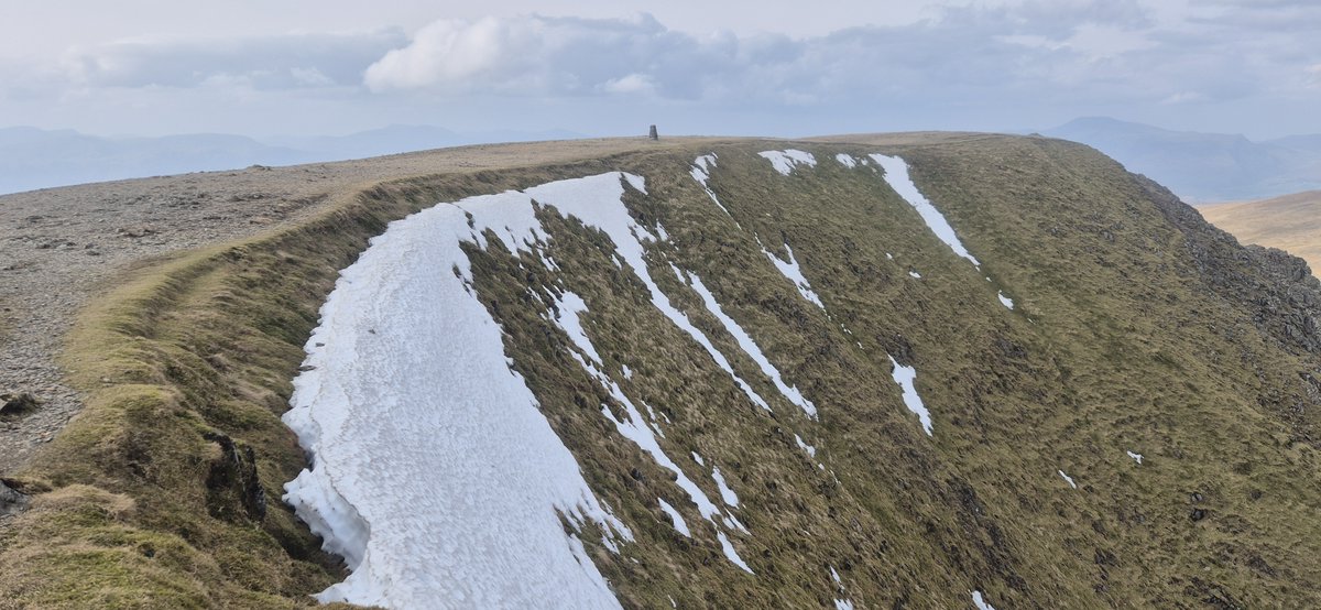 Fell Top Assessors tweet media