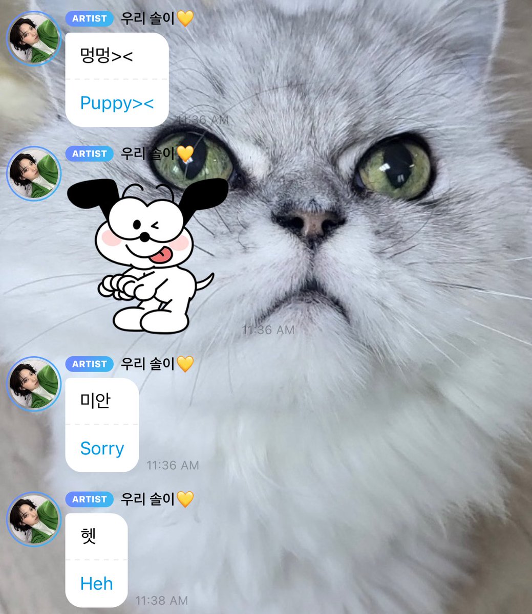 ahomyles's tweet photo. nswer: goodnight silly puppy
bae: https://t.co/ZdUoCZXU6Q