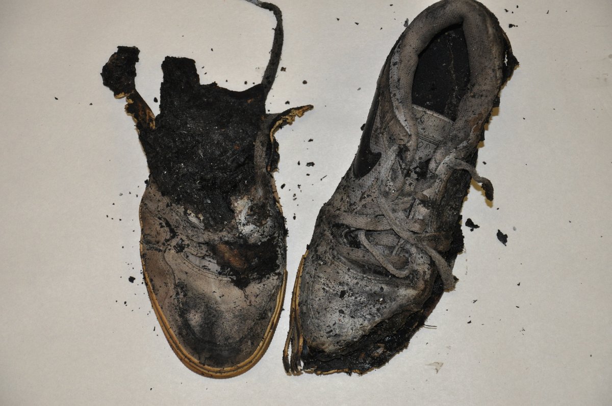 Sword and Scale tweet media