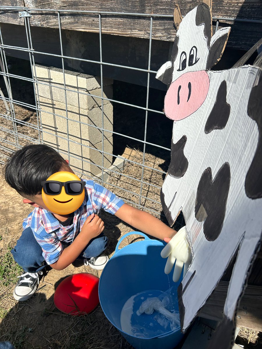 Allison Duffy tweet media