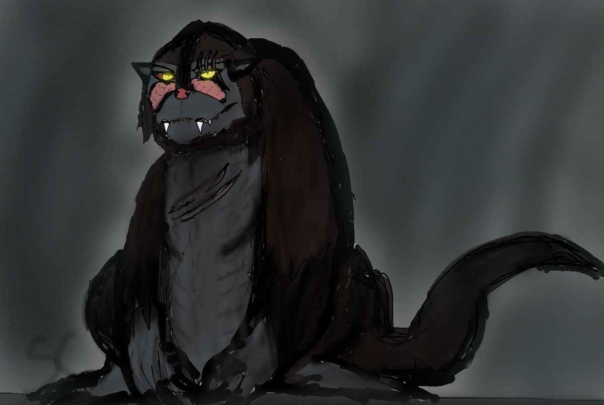 Samgoji 🐊 tweet media