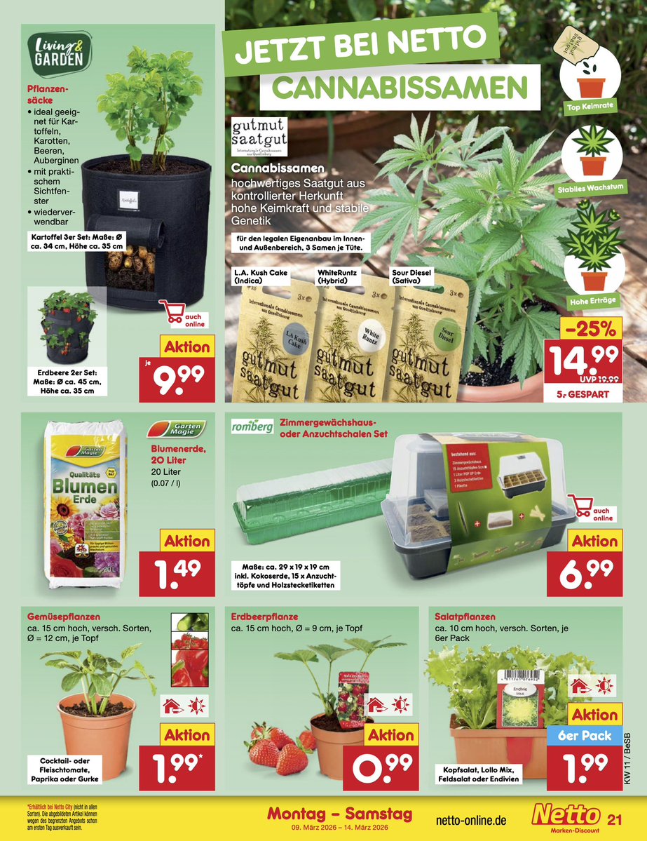 gutmut saatgut tweet media