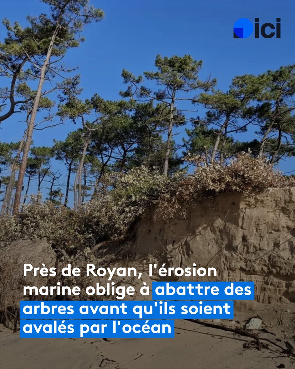 ici La Rochelle tweet media