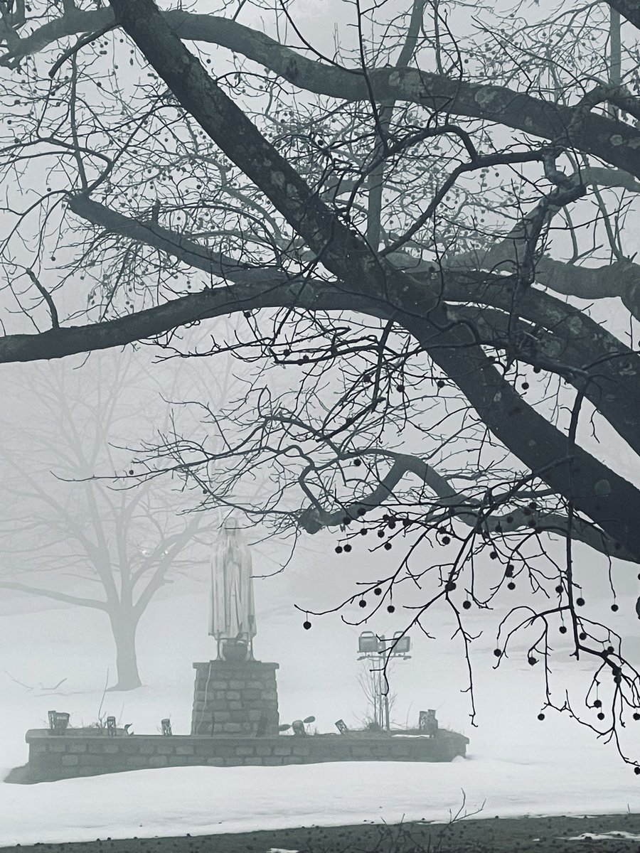 cadaver. tweet media