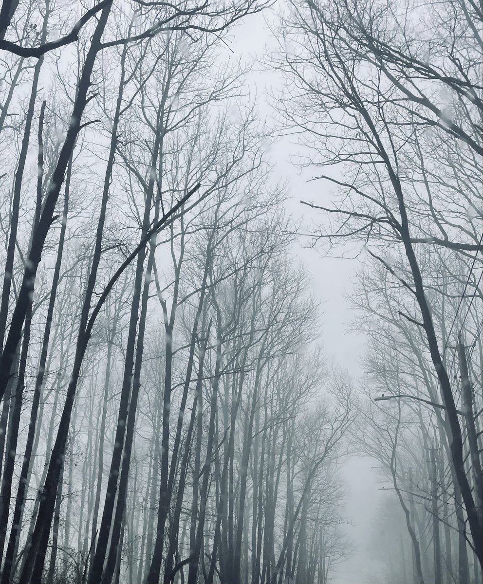 cadaver. tweet media