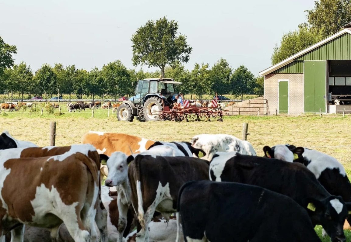 SchoorHenk's tweet photo. Namens @gem_Renswoude bij bijeenkomst van Agroloket @RegioFoodValley Landbouwnetwerk. Thema: Vooruit blijven boeren! Veel onderwerpen kwamen in presentaties en gesprekken aan de orde. Duidelijke regelgeving en Perspectief voor langere periode #Voedselzekerheid #ruimtevoordeboer https://t.co/TyHKTwsRkJ