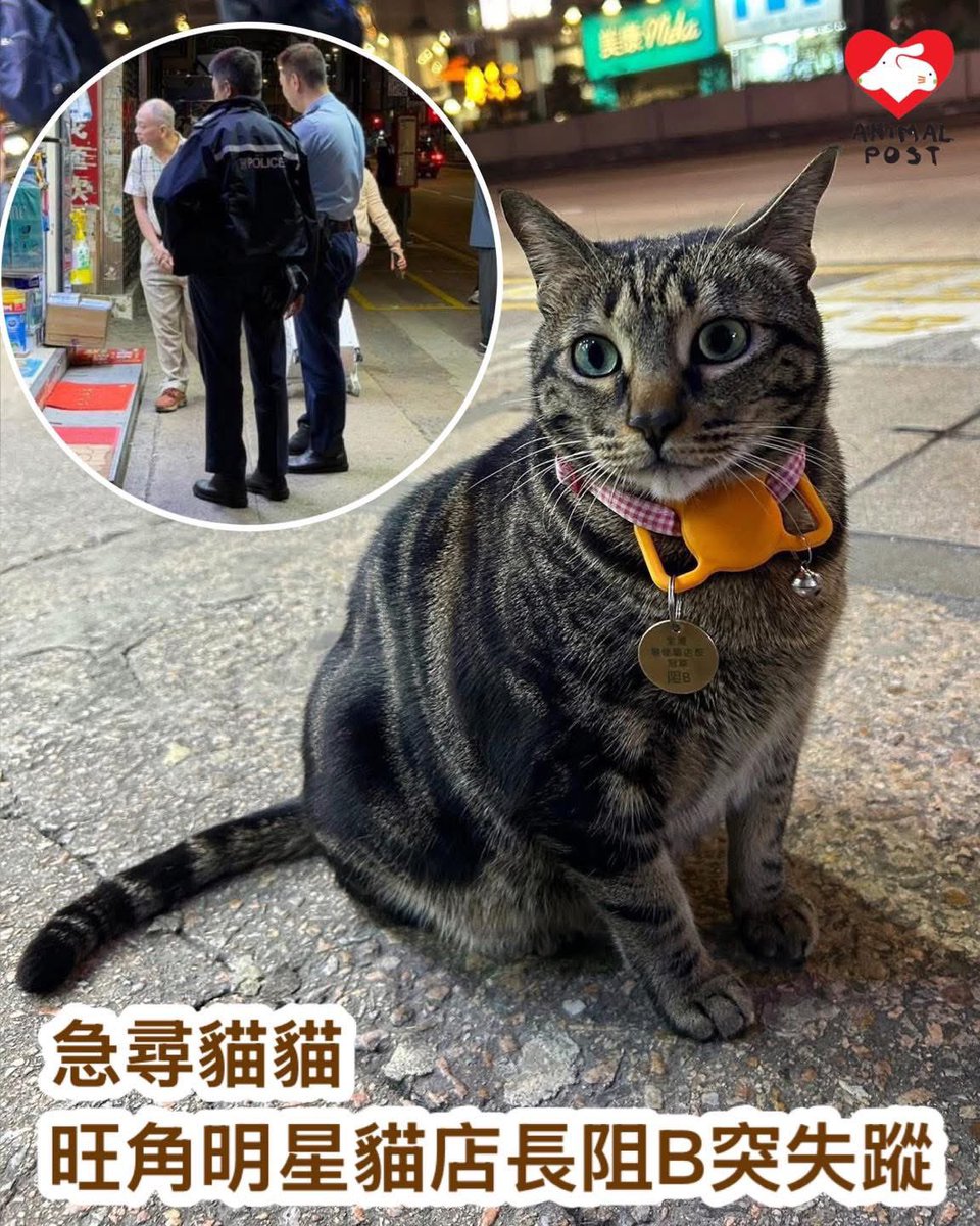 Kennedy Observatory HK97陳死亡 (@102Refractor) / Posts / X