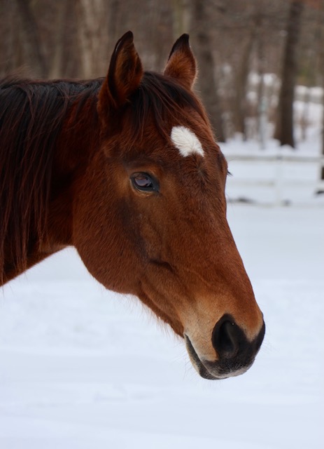 AftertheFinishLine tweet media