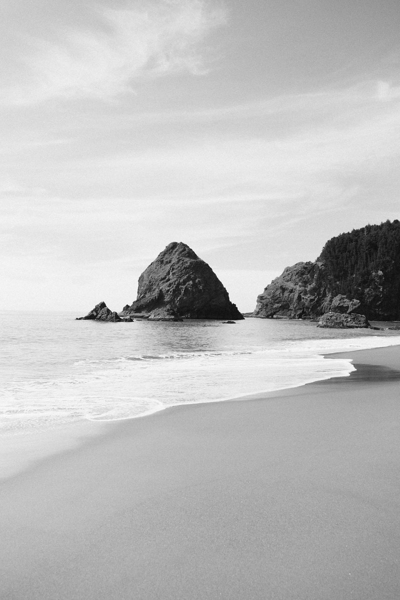 Leo Hess tweet media