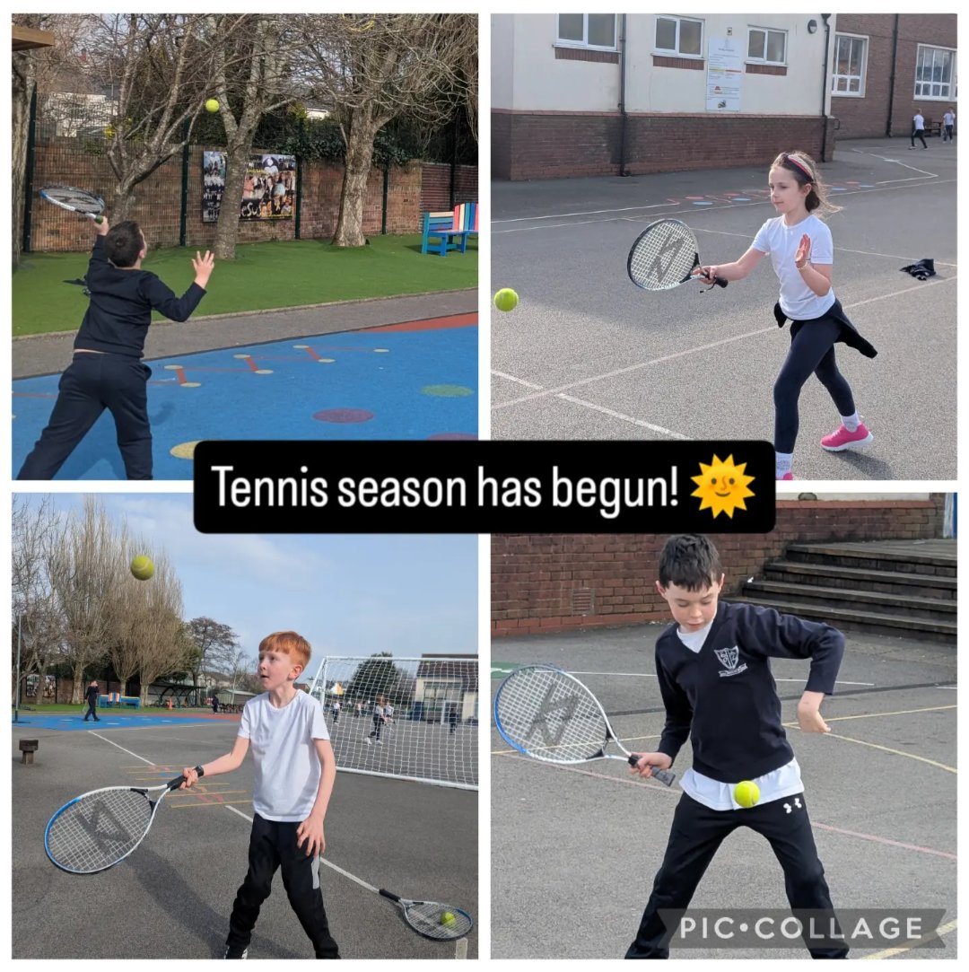 Mr Robinson (4M) tweet media