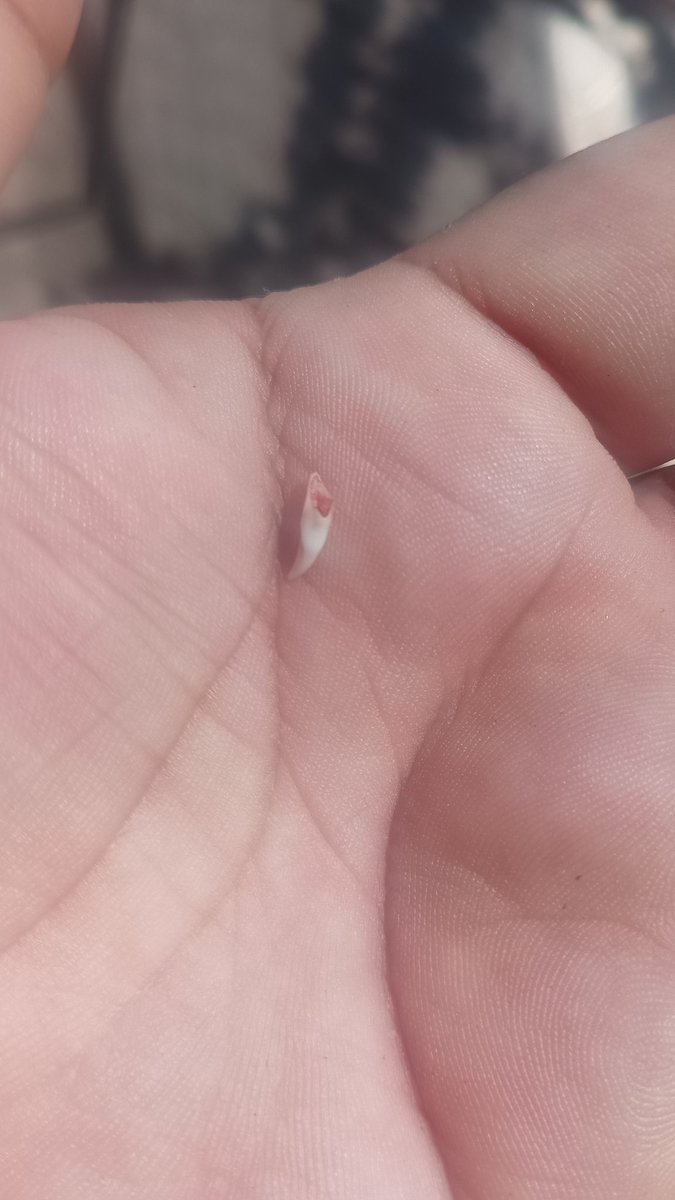 Luis Rojas tweet media