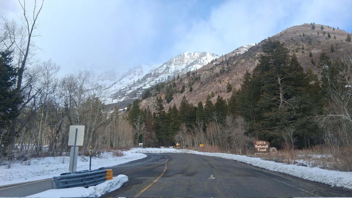 Uinta National Forest.