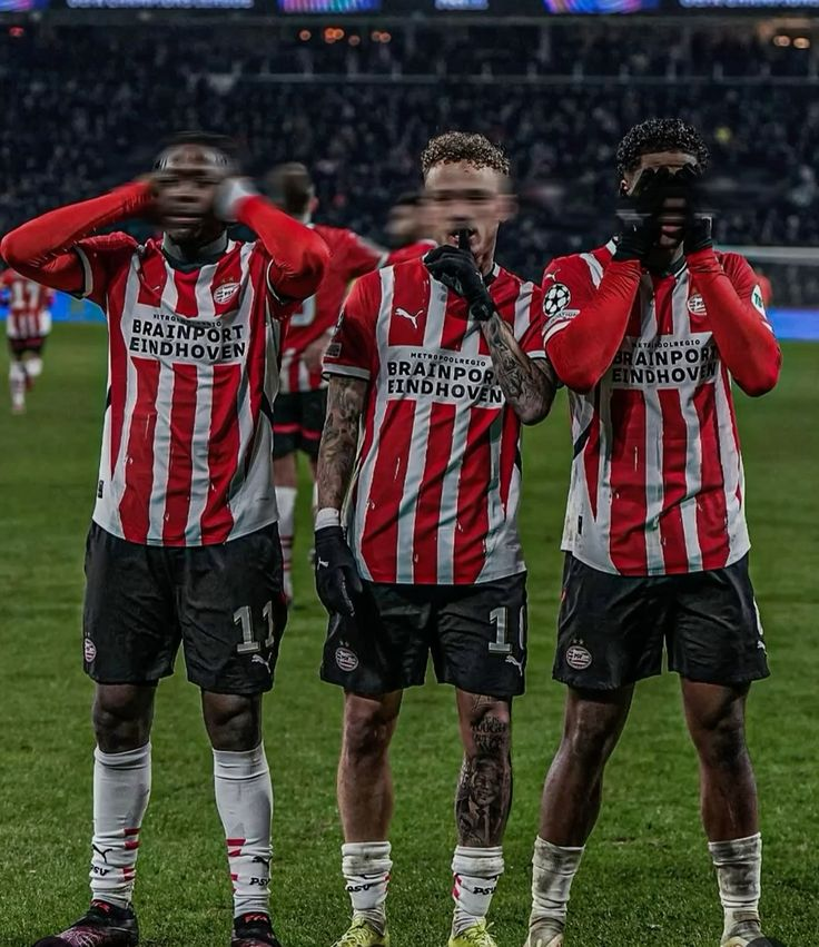 potatoo ☆ tweet media