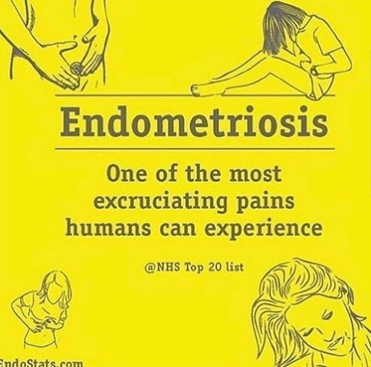 Ms. Scanlon tweet media