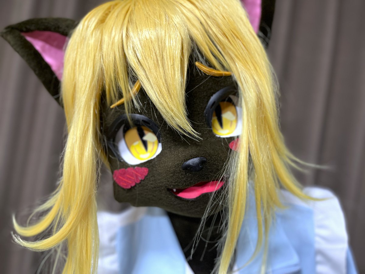 黒猫ちゃん tweet media