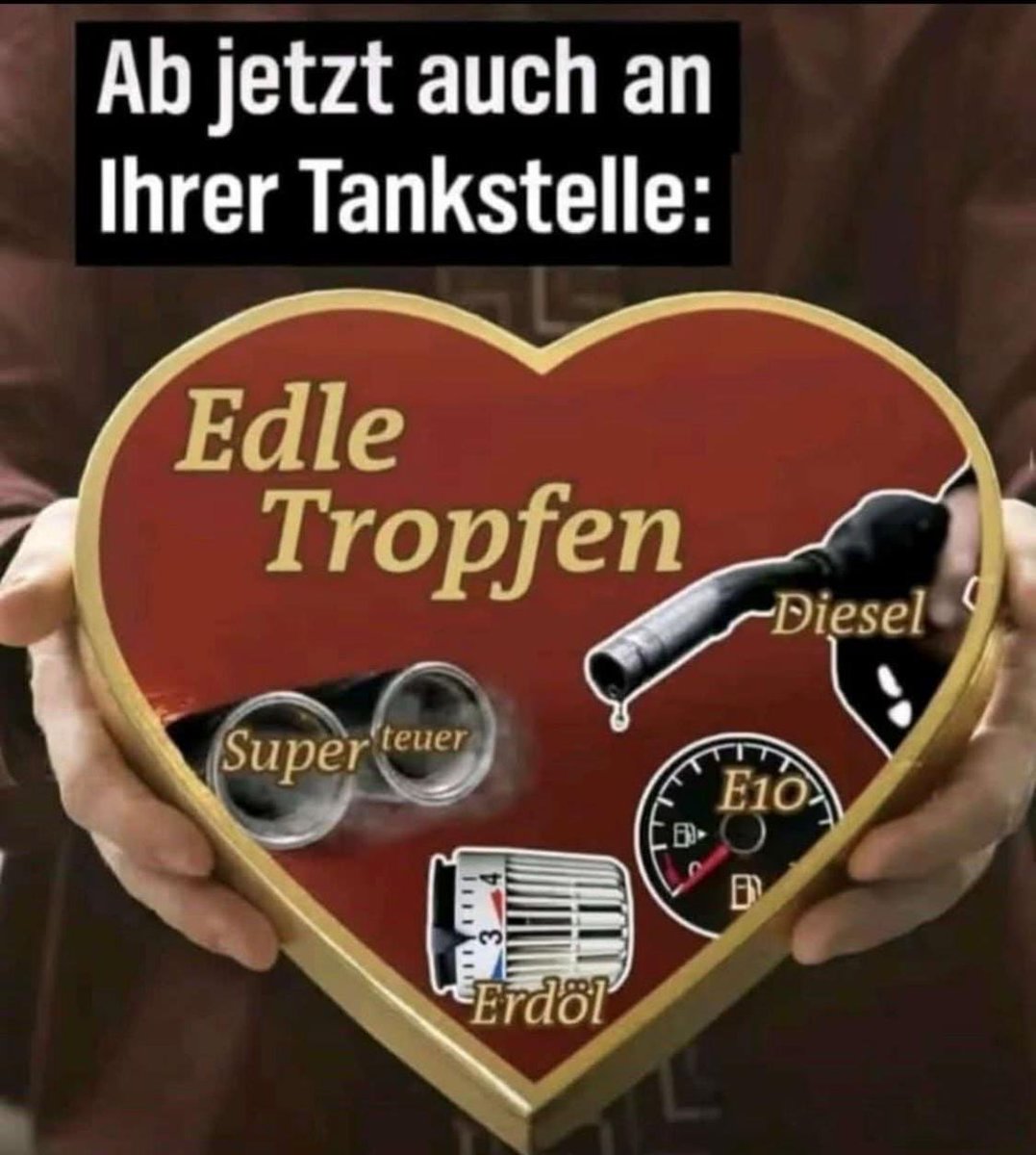 freelander 🇩🇪✏️💙 tweet media