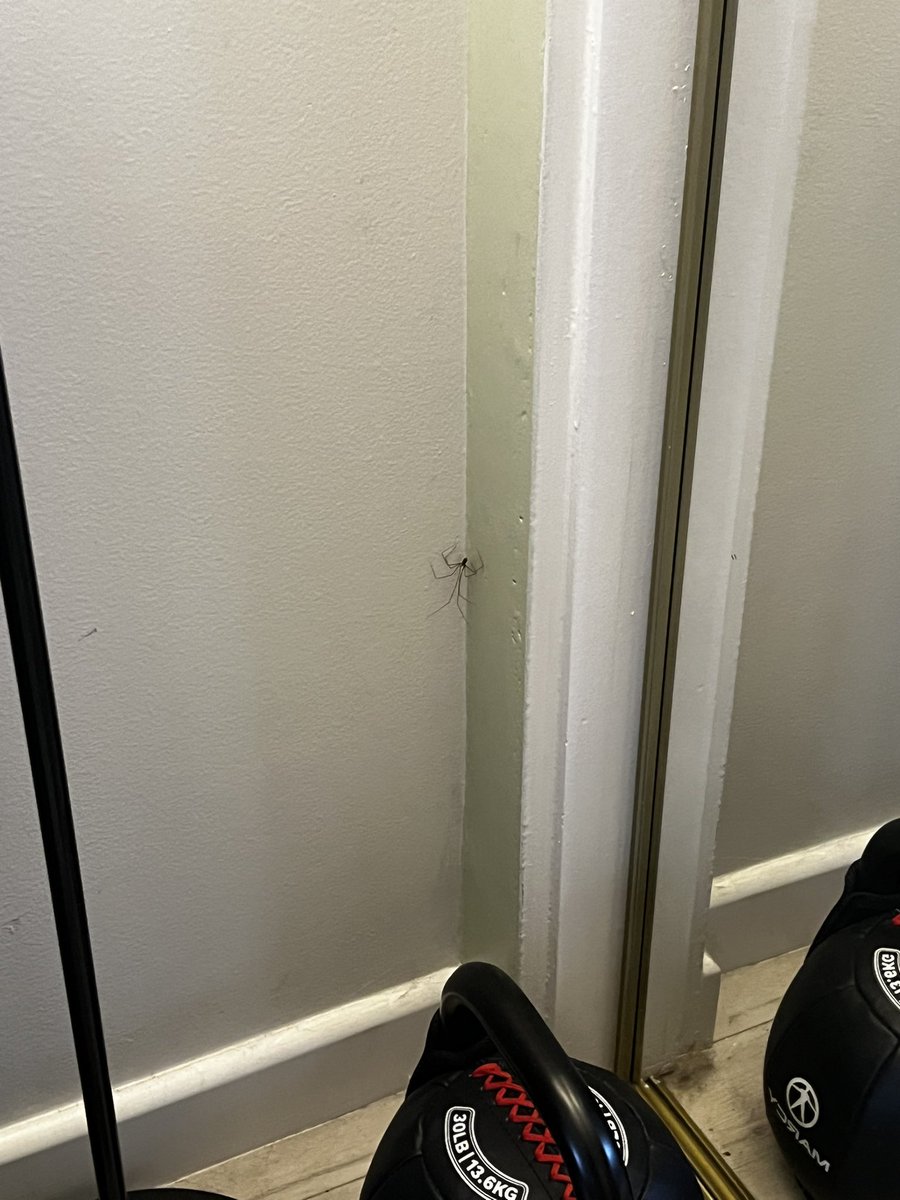 Rex 👽 tweet media