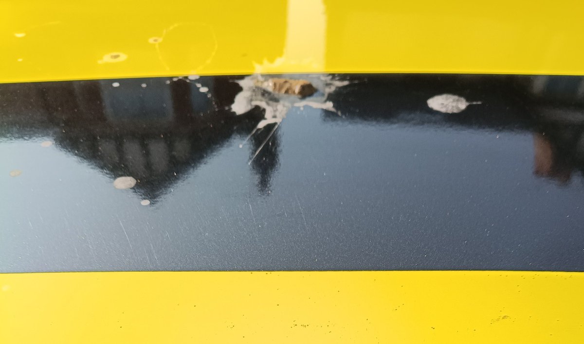 Ceedeejay27's tweet photo. Spent 2 hours cleaning my car today. Then a seagull used it for target practice!! Not happy!! That's what you get for living at the coast! https://t.co/m6Cv9IB8Vw