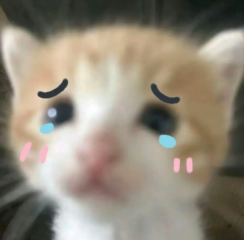 FuFu_0710's tweet photo. @pavelphoom Anyway, I hope you won’t feel bad or upset,pretty pretty please～🥺if you do, we’ll feel like this cat：
#Pavelphoom #poohpavel #BabeCats https://t.co/2lUBotMWxT