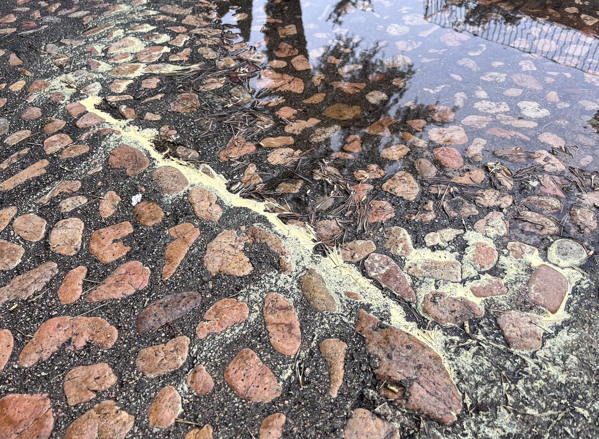 Robby Geebelen tweet media