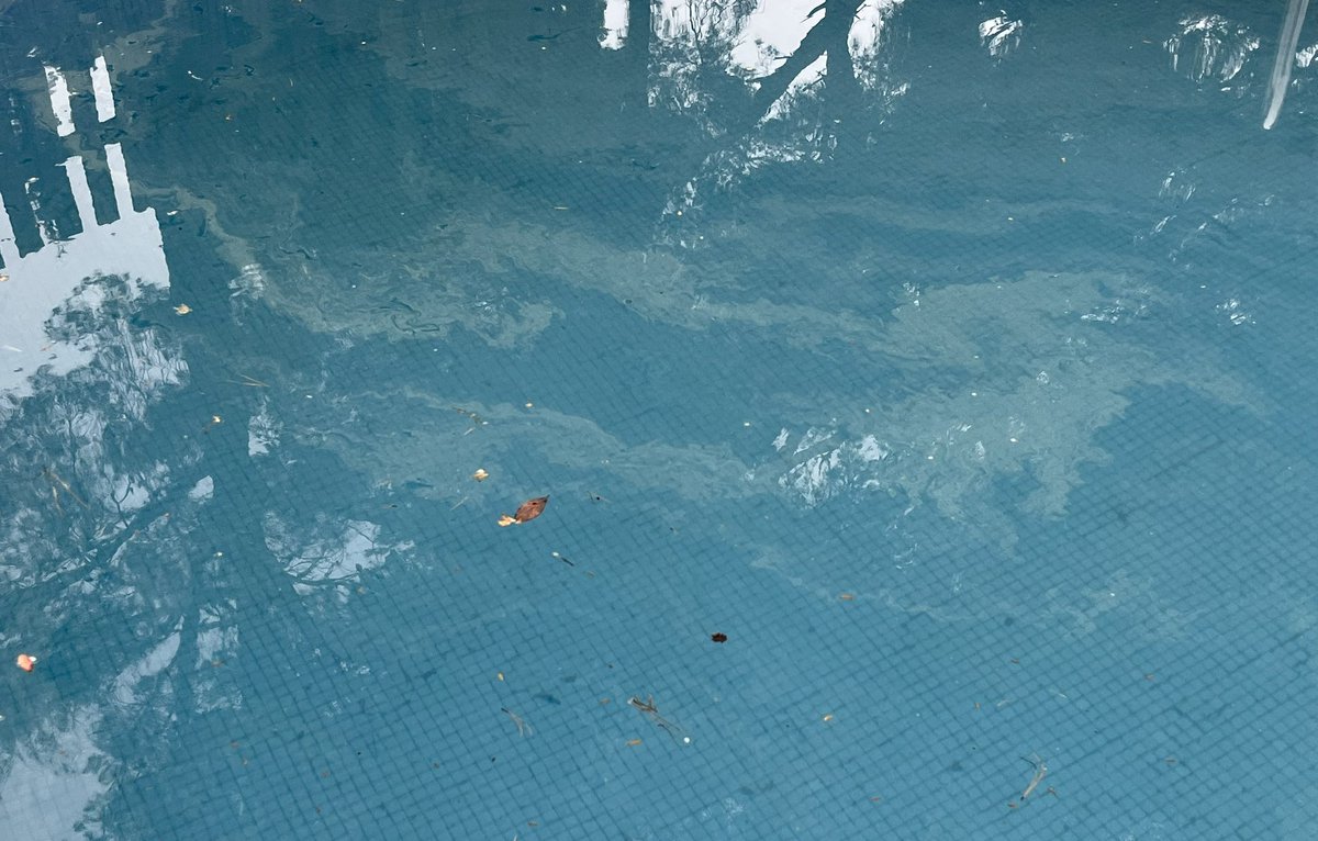 Robby Geebelen tweet media