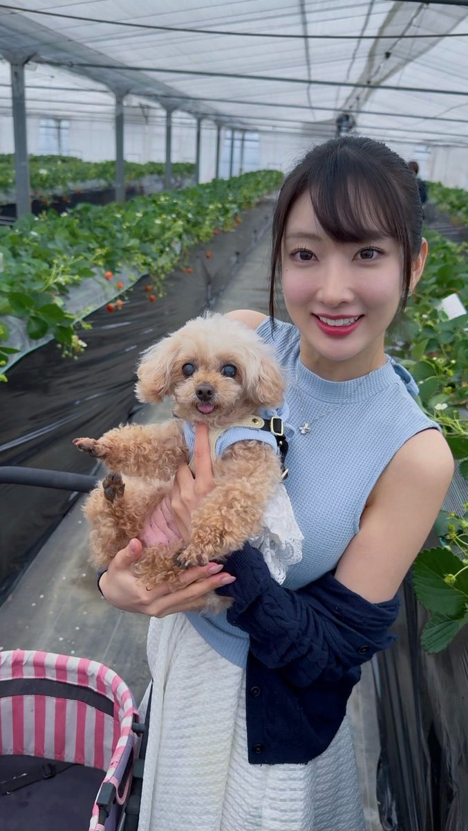 _510xxx's tweet photo. 🍓🐶 https://t.co/VygISmhnZy