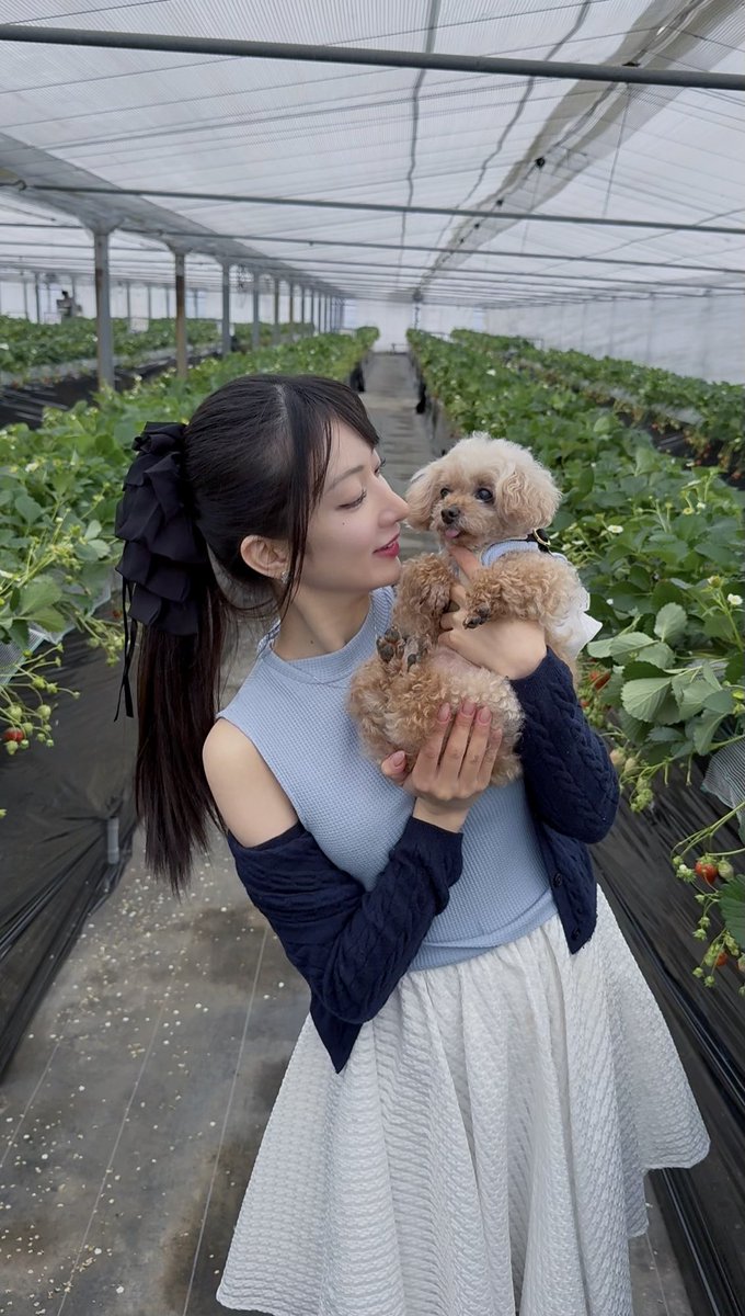 _510xxx's tweet photo. 🍓🐶 https://t.co/VygISmhnZy