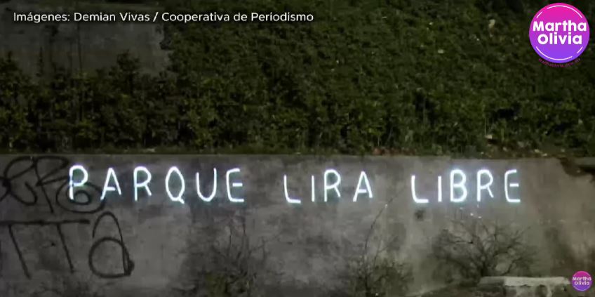 Martha Olivia LópezM tweet media