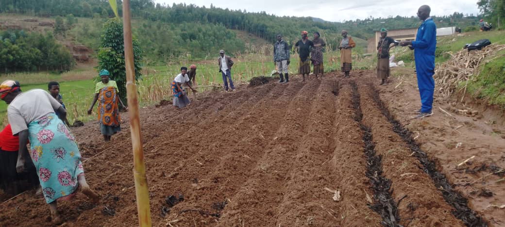 On March 5, 2026, a visit was made to the FoBaSi site in Ndobogo B, Mbazi Sector, <a href="/HuyeDistrict/">Huye District</a> District. A bush-bean demonstration plot was planted, and fertilizer was aquired from SNS, with support from agronomists, cooperative leaders, zone heads, and farmers.