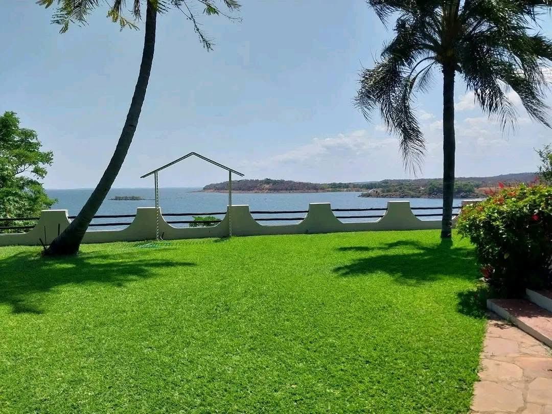 Hakusi kuCapetown or kuEurope muZimbabwe kuBINGA🇿🇼🇿🇼🇿🇼🇿🇼