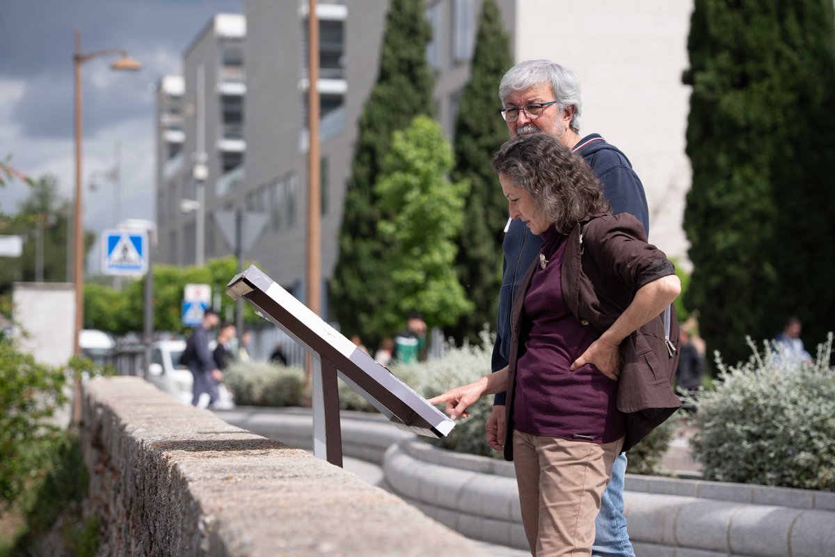Ayuntamiento de Mérida tweet media