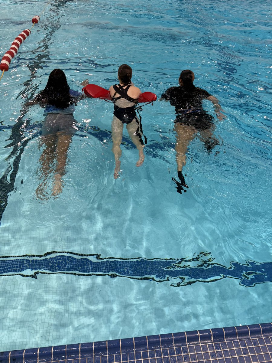 Freedom Phys Ed tweet media