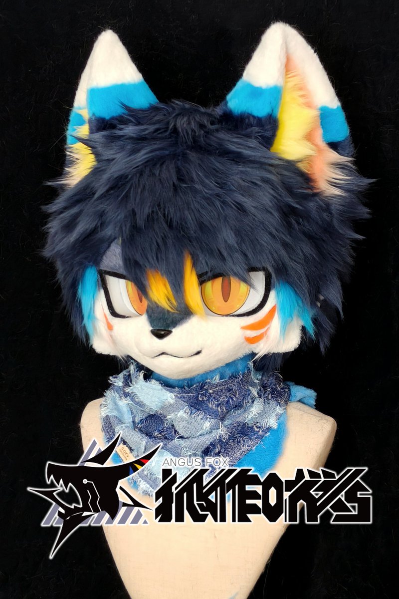 🦊_Angus tweet media