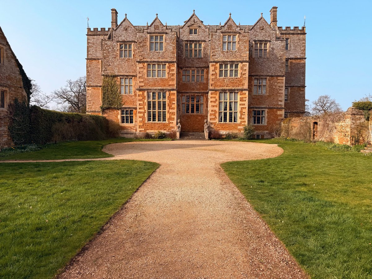 Vampeaches 🩸🌘 tweet media