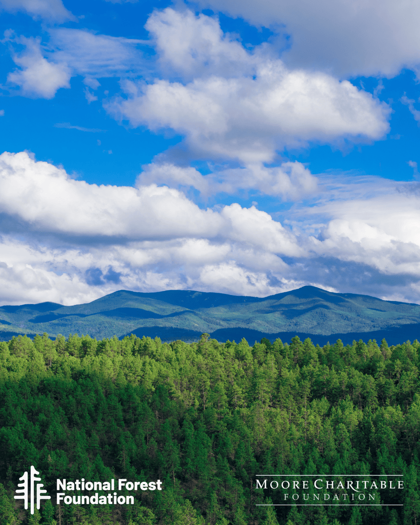 Moore Charitable tweet media