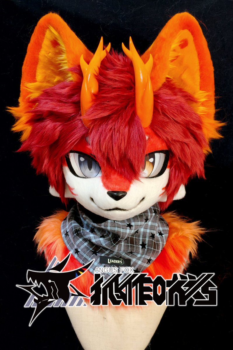 🦊_Angus tweet media