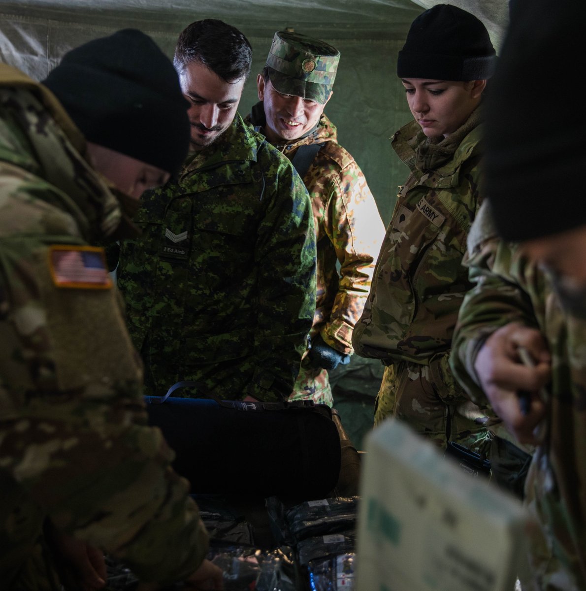 Canadian Army tweet media