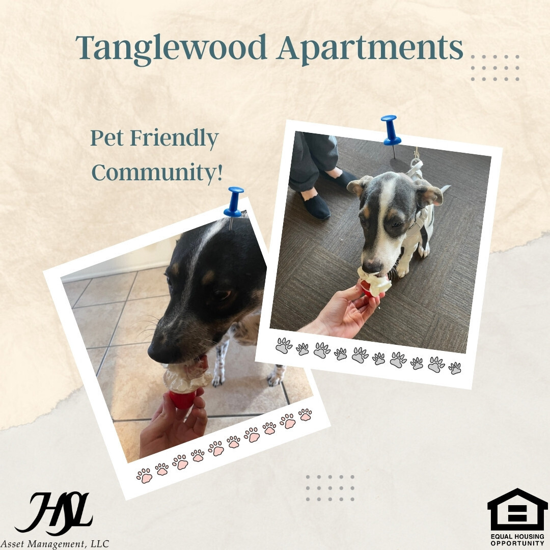HSLTanglewood's tweet photo. Your pet deserves a great home too. 🐾 We're a community that welcomes every member of the family with pet events, friendly neighbors, and a place you'll both be proud to call home.

*Breed Restrictions Apply

[Equal Housing Opportunity]
HSL Asset Management, LLC. https://t.co/DfzLD6BTOR
