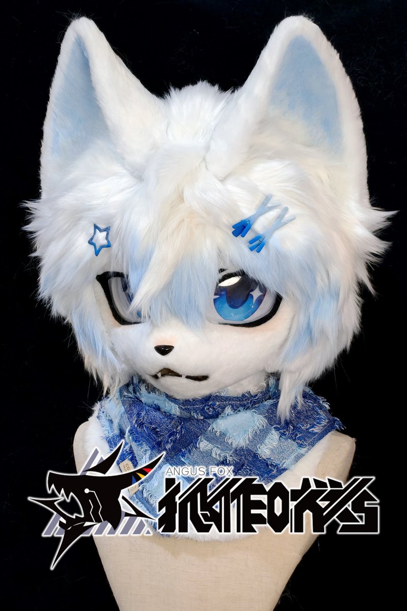 🦊_Angus tweet media