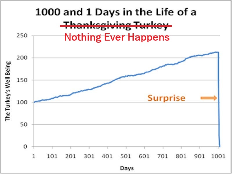 Quinn Thompson tweet media