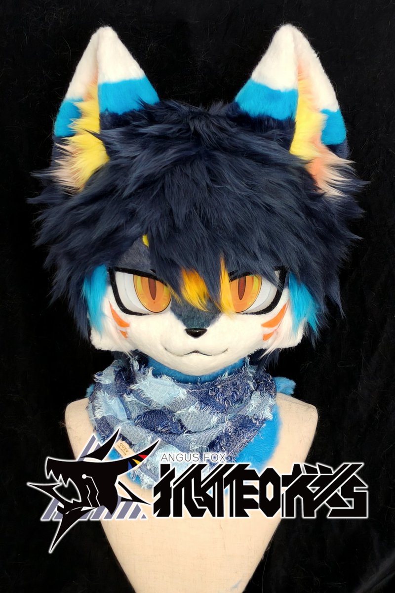 🦊_Angus tweet media