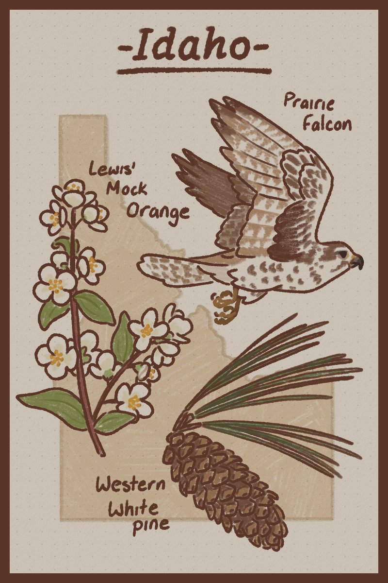 KelCornflakes's tweet image. Rocky Mountain west 3/5

#illustration #digitalart